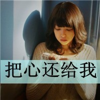 超进化物语游戏鹰版下载
